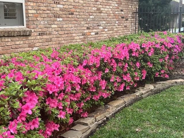 2338 Carleen Road, Houston, TX 77018