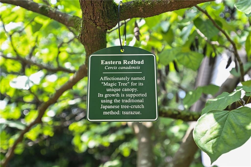 Image 48 of property listing at 2067 Fairhaven NE Circle, Atlanta, GA 30305