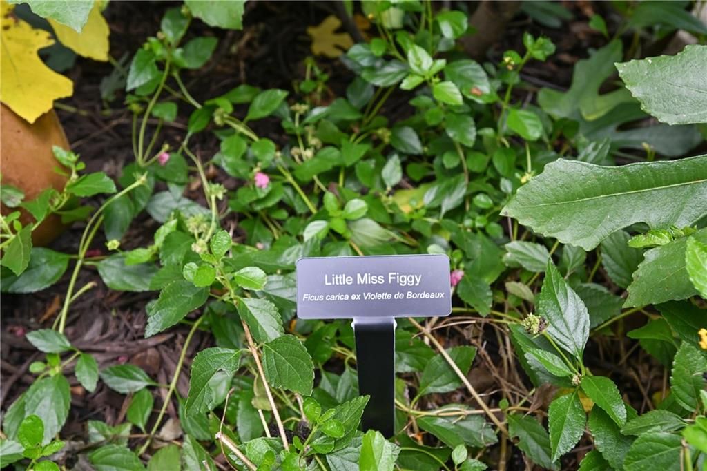 Image 63 of property listing at 2067 Fairhaven NE Circle, Atlanta, GA 30305