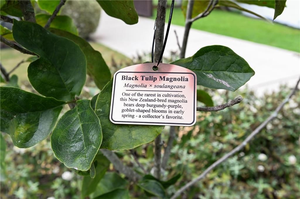 Image 66 of property listing at 2067 Fairhaven NE Circle, Atlanta, GA 30305