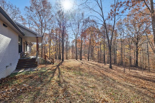 7340 Bradford Rd, Primm Springs, TN 38476