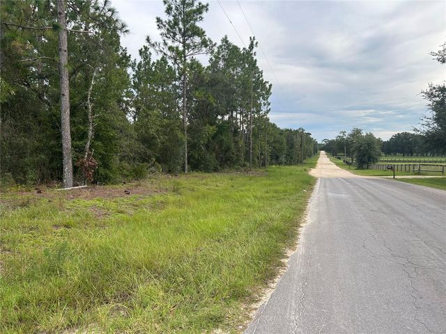 TBD NE 150TH AVENUE, Williston, FL 32696