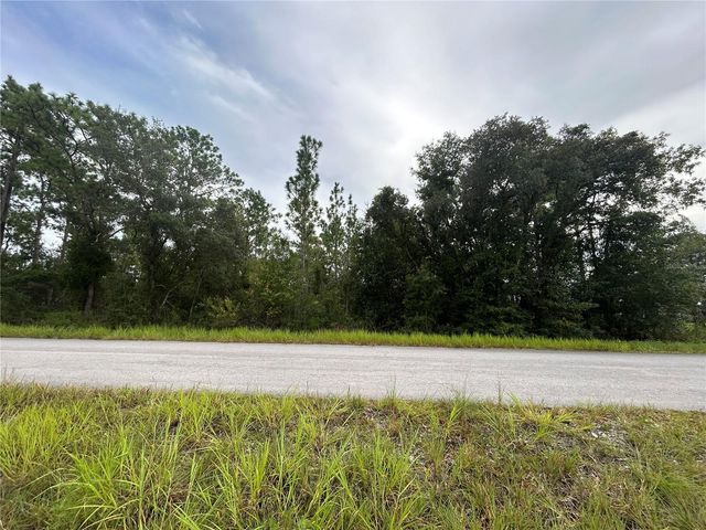 TBD NE 150TH AVENUE, Williston, FL 32696