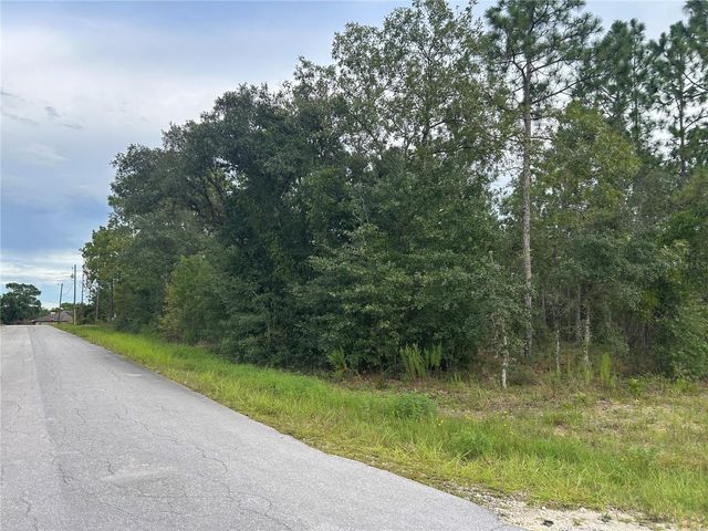 TBD NE 150TH AVENUE, Williston, FL 32696