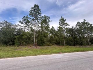 TBD NE 150TH AVENUE, Williston, FL 32696