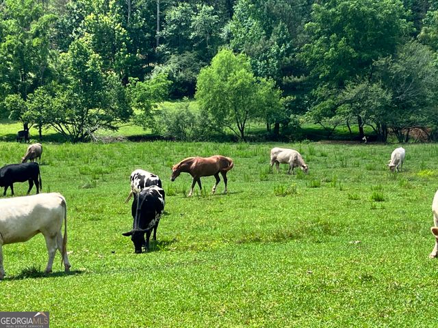 0 Freeman View Trail LOT 4, Cleveland, GA 30528
