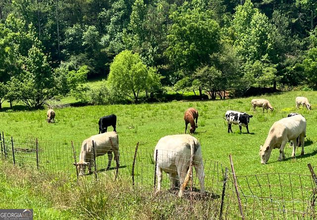 0 Freeman View Trail LOT 4, Cleveland, GA 30528