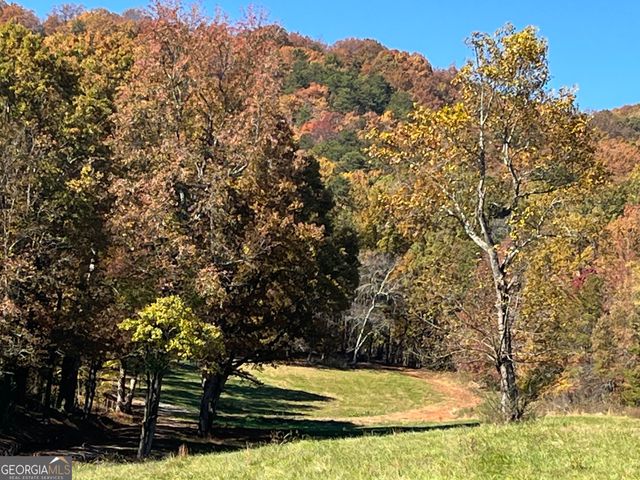 0 Freeman View Trail LOT 4, Cleveland, GA 30528