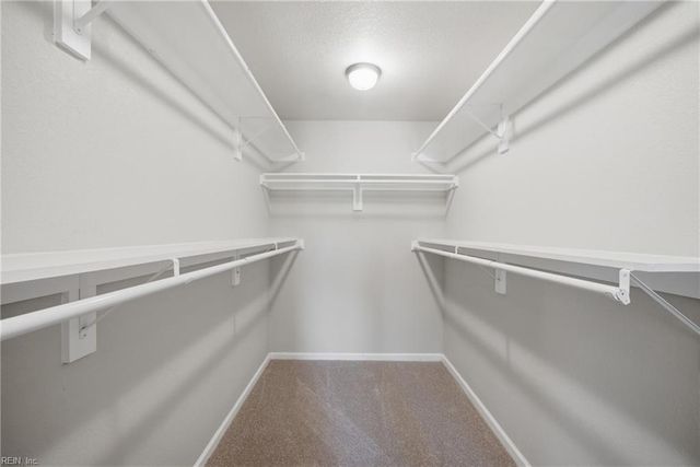6434 Partridge ST, Norfolk, VA 23513