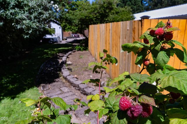 204 Miller Street, Molalla, OR 97038