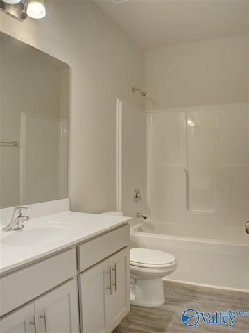 105 NW Fern Valley Court, Madison, AL 35757