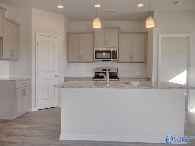 105 NW Fern Valley Court, Madison, AL 35757