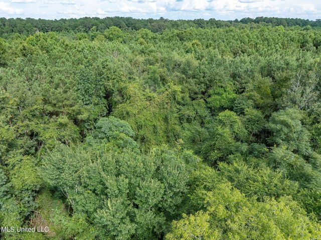 Parcel C J. Runnels Road, Petal, MS 39465