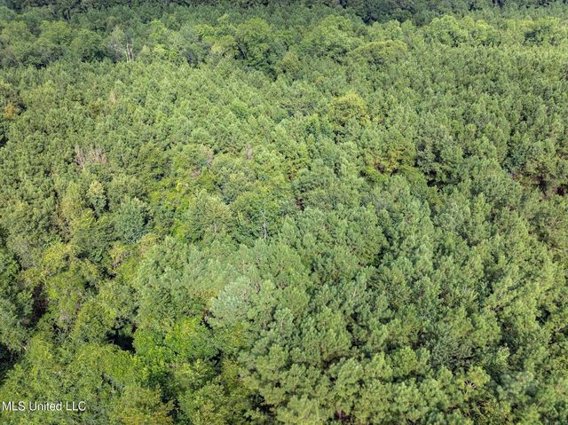 Parcel C J. Runnels Road, Petal, MS 39465