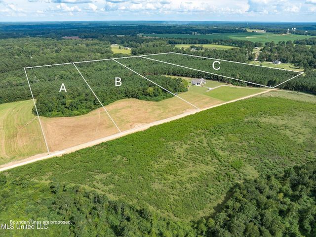 Parcel C J. Runnels Road, Petal, MS 39465