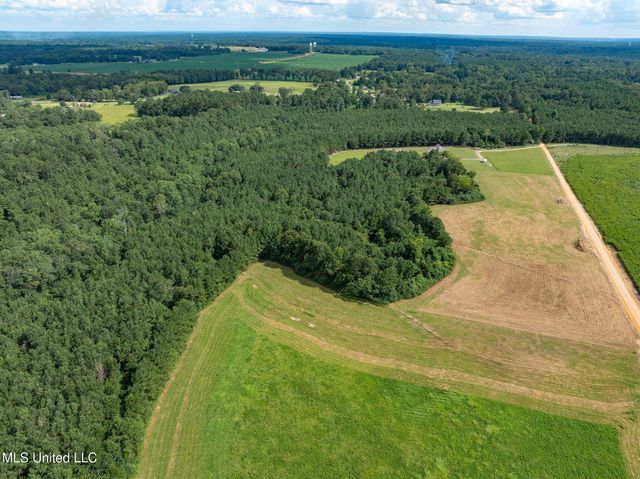Parcel C J. Runnels Road, Petal, MS 39465