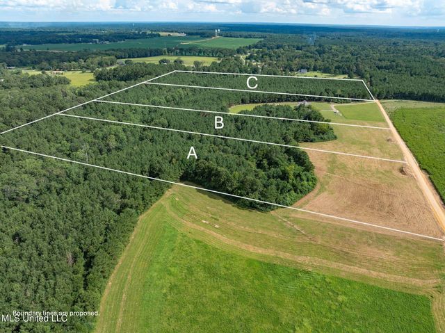 Parcel C J. Runnels Road, Petal, MS 39465