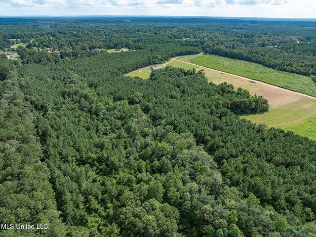 Parcel C J. Runnels Road, Petal, MS 39465