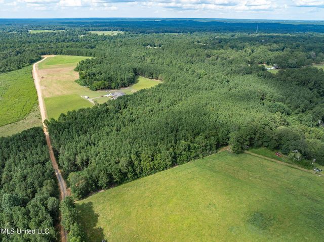Parcel C J. Runnels Road, Petal, MS 39465