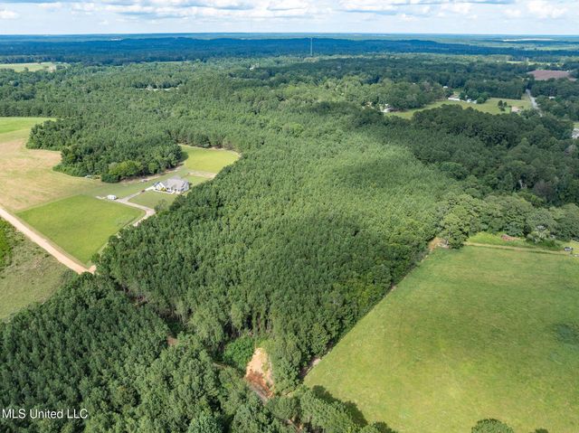 Parcel C J. Runnels Road, Petal, MS 39465