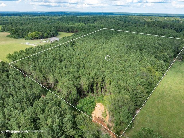 Parcel C J. Runnels Road, Petal, MS 39465