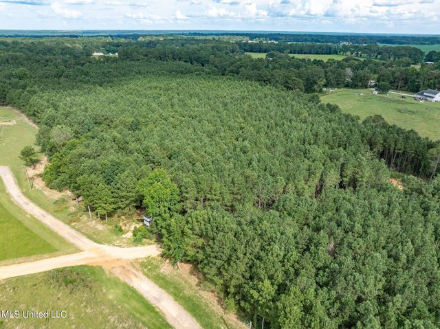 Parcel C J. Runnels Road, Petal, MS 39465