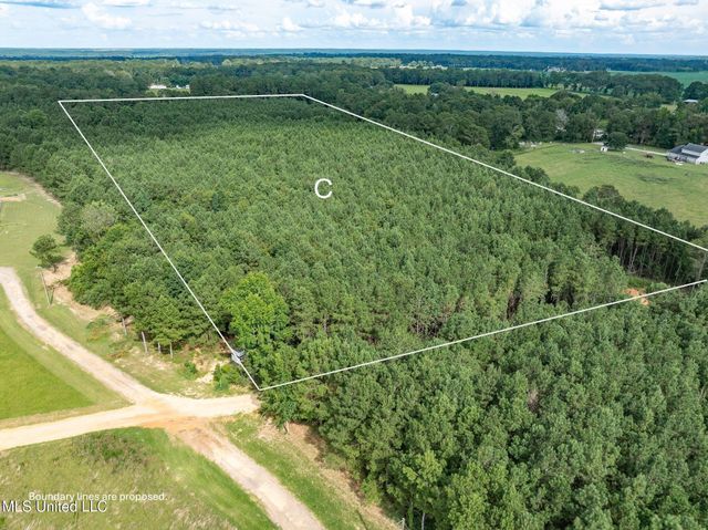 Parcel C J. Runnels Road, Petal, MS 39465
