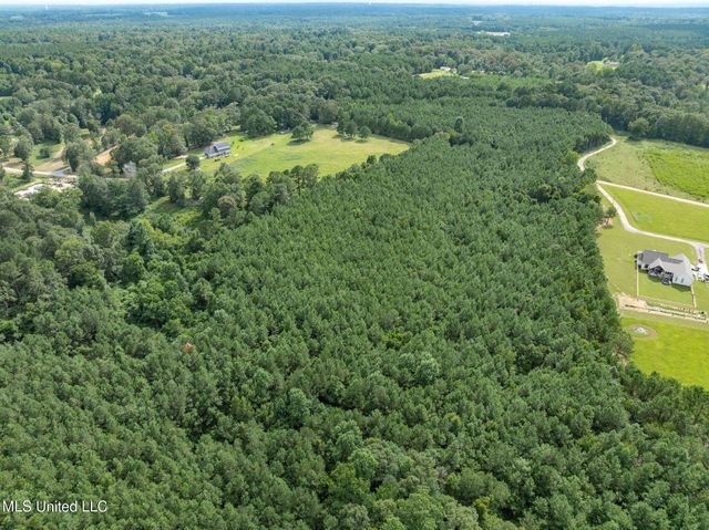 Parcel C J. Runnels Road, Petal, MS 39465