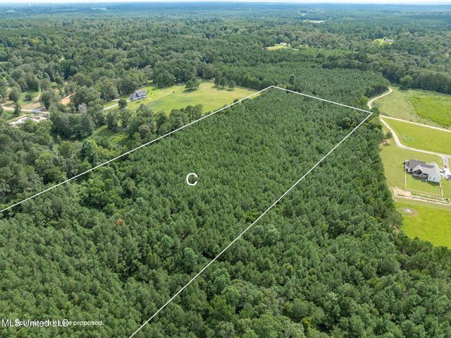 Parcel C J. Runnels Road, Petal, MS 39465