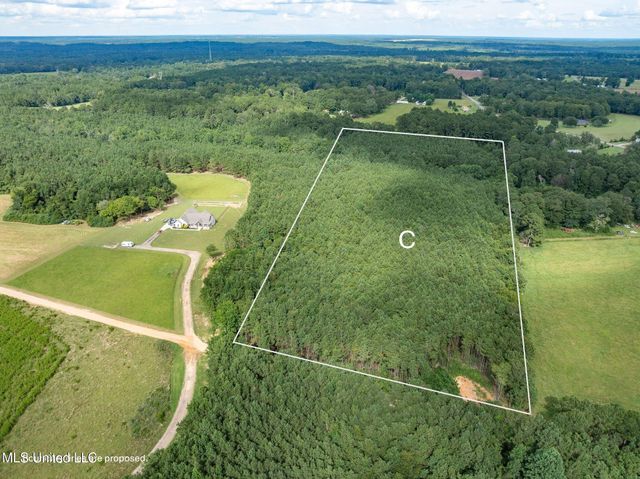 Parcel C J. Runnels Road, Petal, MS 39465