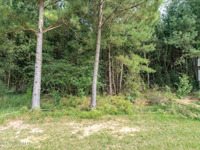 Parcel C J. Runnels Road, Petal, MS 39465