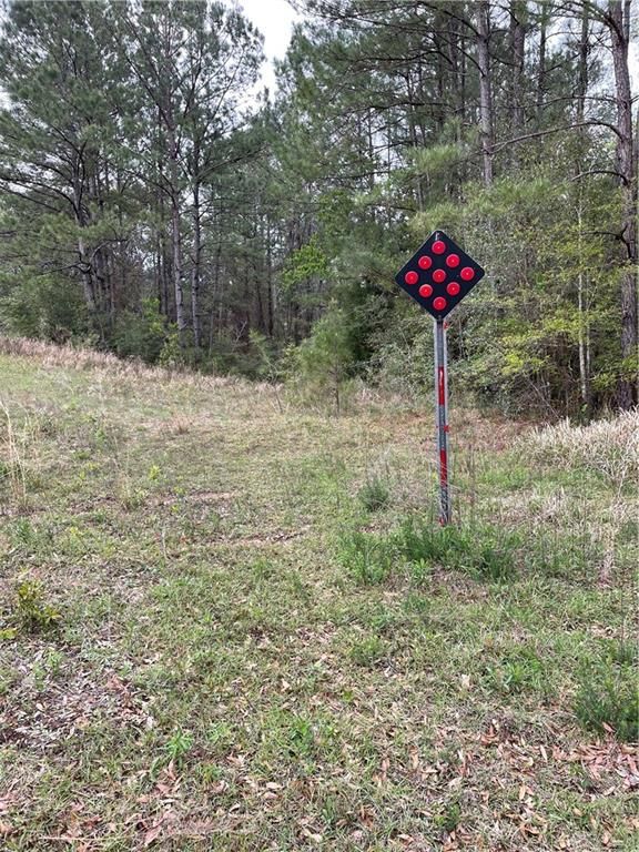 0 Cleburne Road N, Chunchula, AL 36521 — exterior