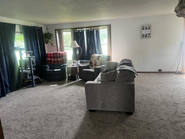 228 W Forest Street, Edmore, MI 48829