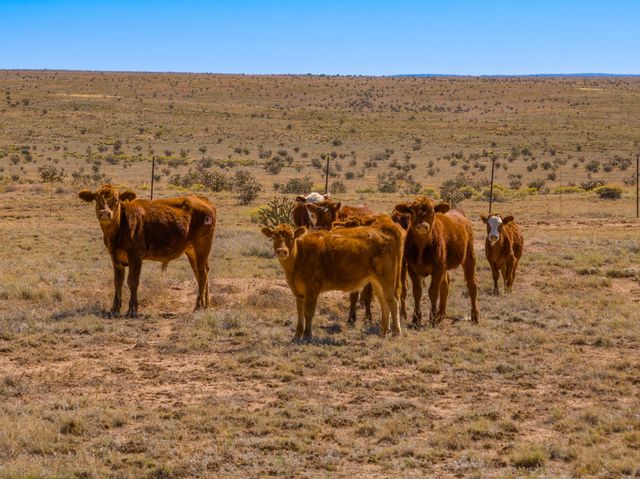 4006 NM 14, Santa Fe, NM 87508