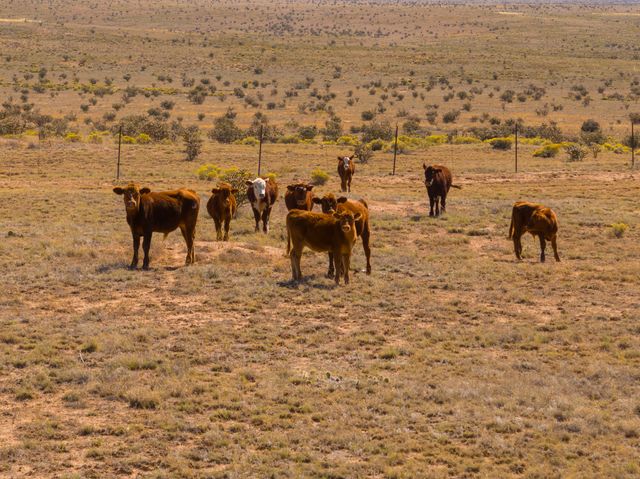 4006 NM 14, Santa Fe, NM 87508