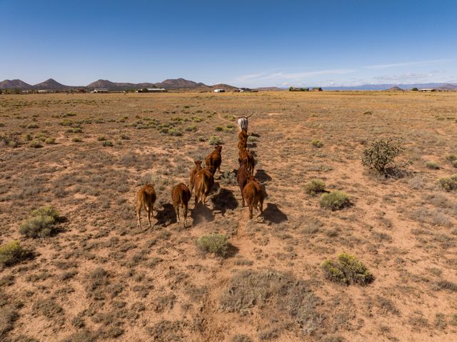 4006 NM 14, Santa Fe, NM 87508