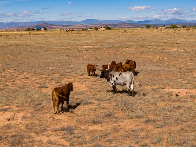 4006 NM 14, Santa Fe, NM 87508