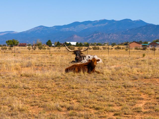 4006 NM 14, Santa Fe, NM 87508