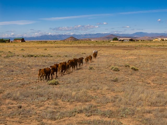 4006 NM 14, Santa Fe, NM 87508