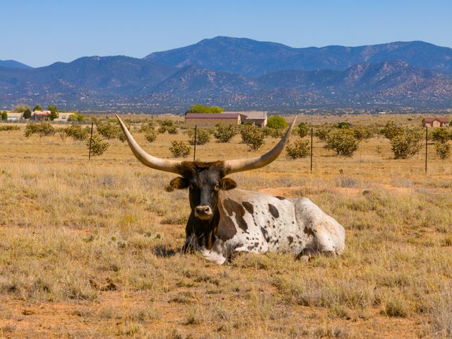 4006 NM 14, Santa Fe, NM 87508