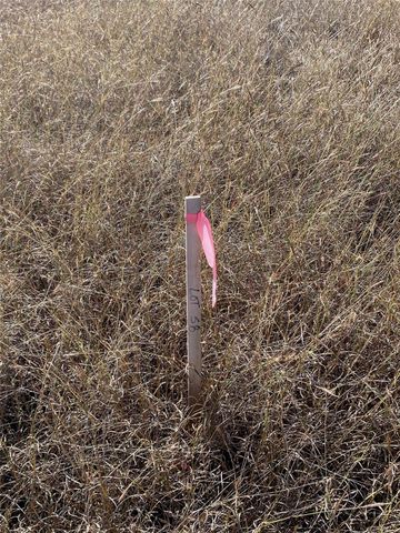 TBD Lightning Ranch PT, Georgetown, TX 78628