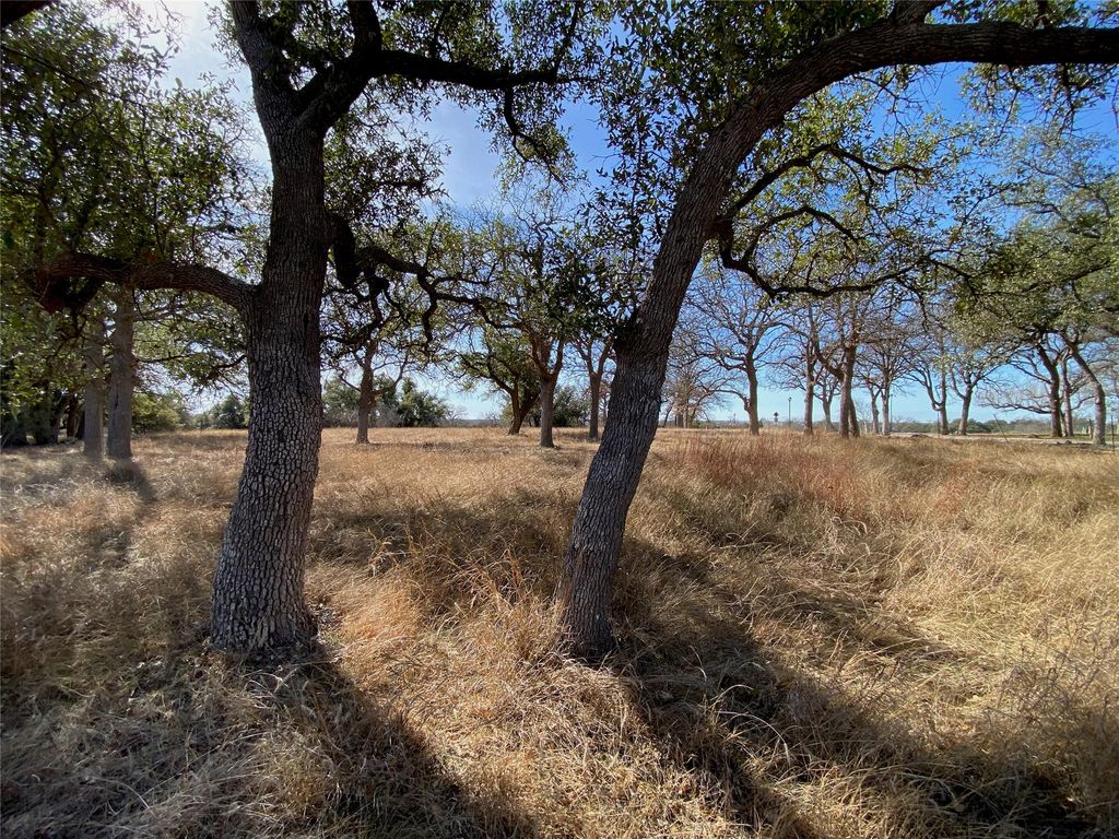 TBD Lightning Ranch PT, Georgetown, TX 78628