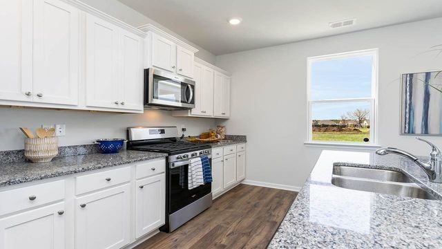 8052 Panda Bear Way, Conway, SC 29526
