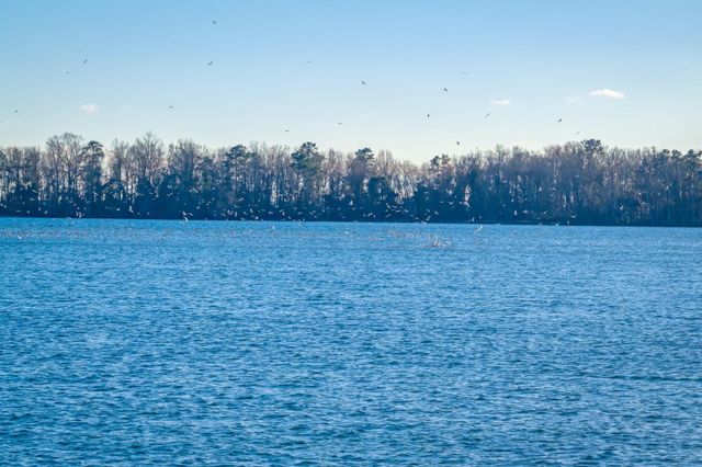 1210 Cypress Pointe Drive, Manning, SC 29102