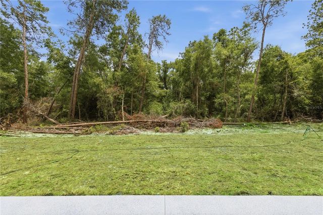 10 BAY LANE, Ocklawaha, FL 32179
