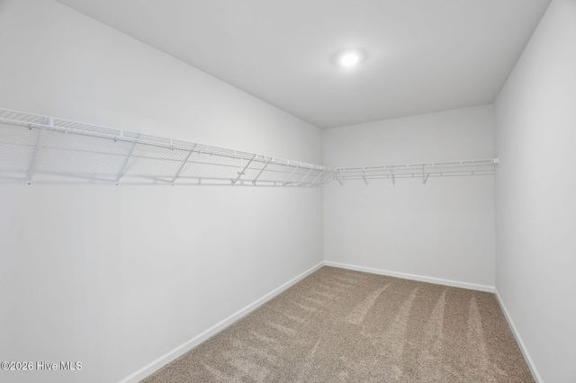 205 Hallwood Drive, Pikeville, NC 27863