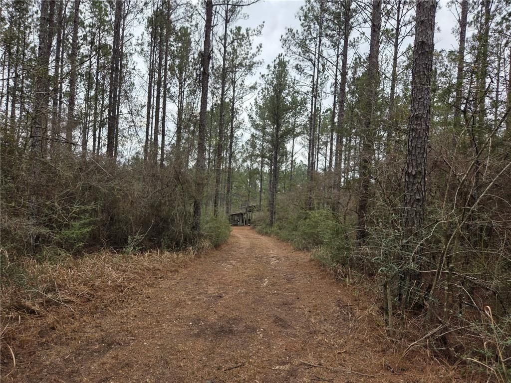 0 Chunchula Landfill Road, Chunchula, AL 36521 — photo 2