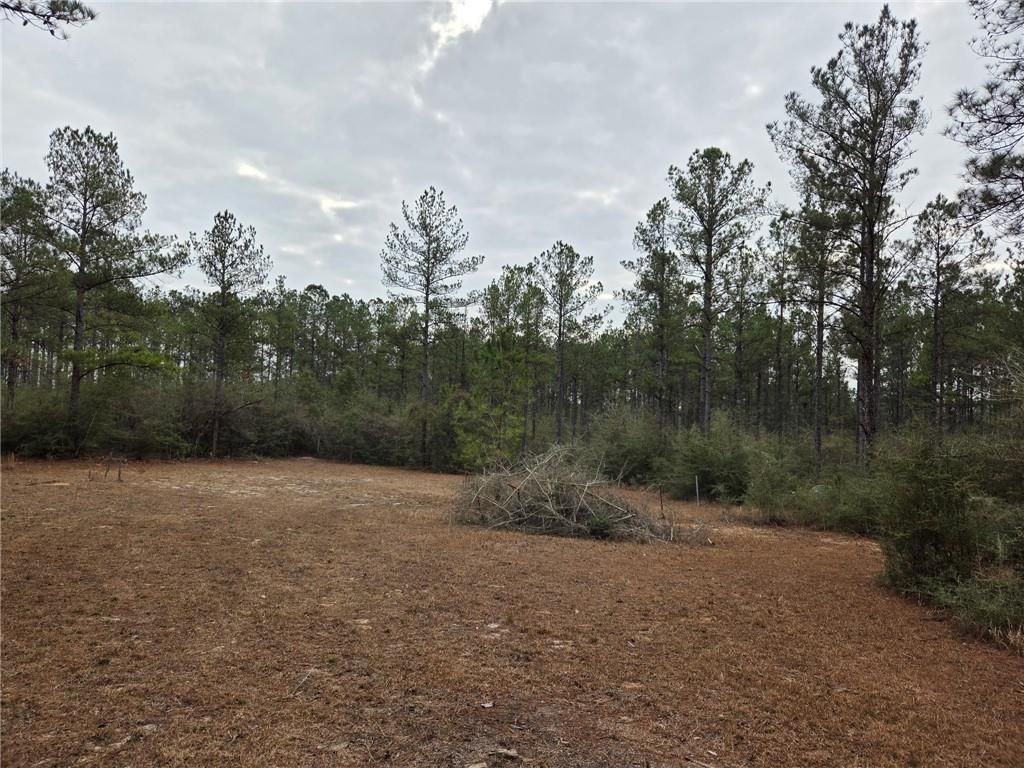 0 Chunchula Landfill Road, Chunchula, AL 36521 — photo 3