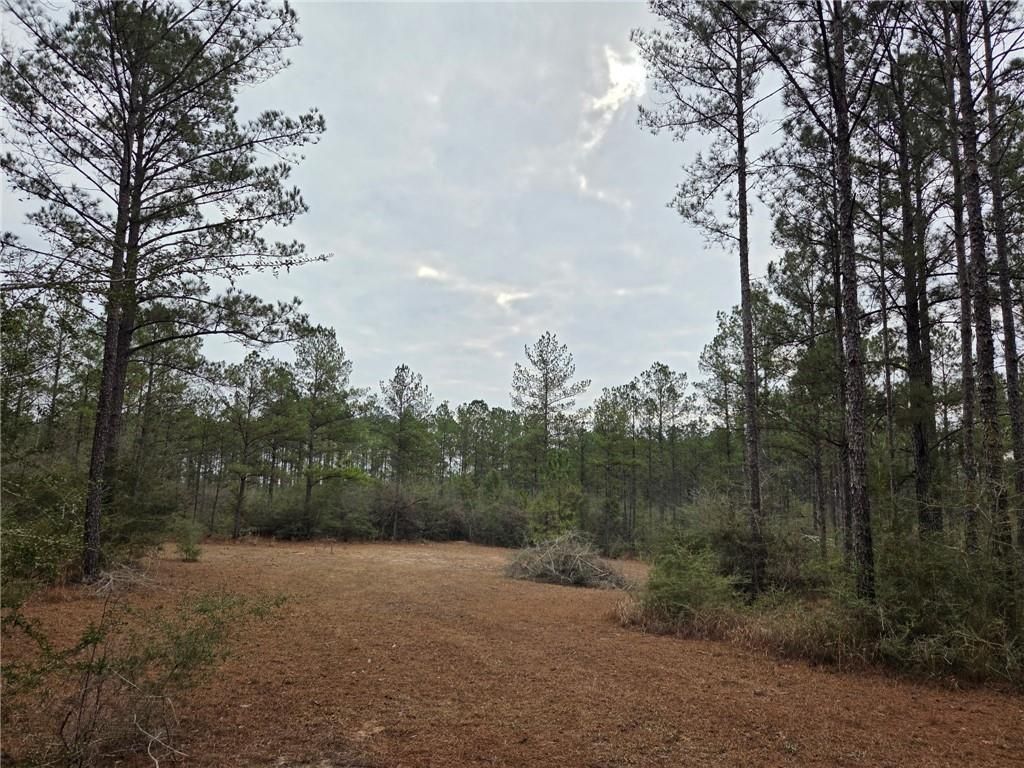 0 Chunchula Landfill Road, Chunchula, AL 36521 — photo 5