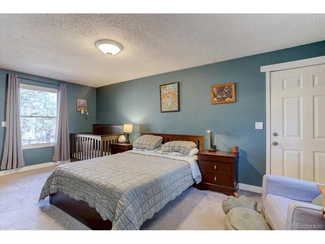 33350 Beverly Rd, Pine, CO 80470